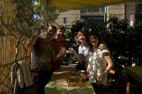 Visitas guiadas a Museos