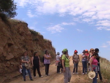 Excursiones Medio Ambientales del entorno de Madrid